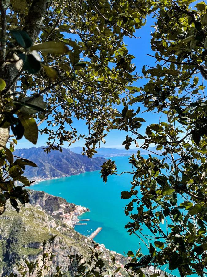 Agriturismo Punta San Lazzaro アジェーロラ エクステリア 写真